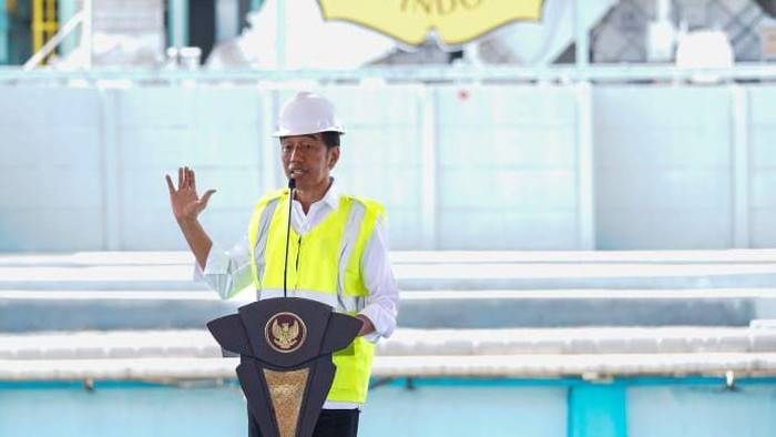Jokowi Ungkap Biang Kerok Pupuk Mahal Yang Meresahkan Petani