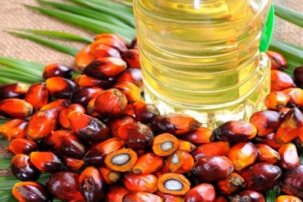 Harga Minyak Kelapa Sawit Melemah Di Bursa Malaysia Exchange