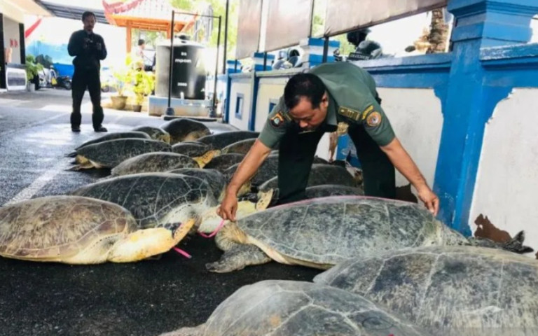 Perjalanan Made Japa Pembantai Penyu Selama 24 Tahun Di Bali Akhirnya Berakhir