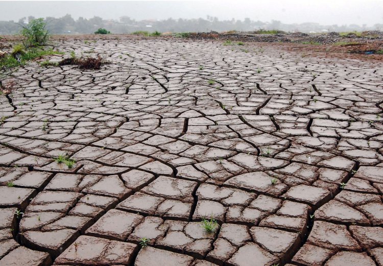 BMKG Prediksi Fenomena El Nino-IOD Semakin Kuat Yang Memicu Kekeringan Di Indonesia