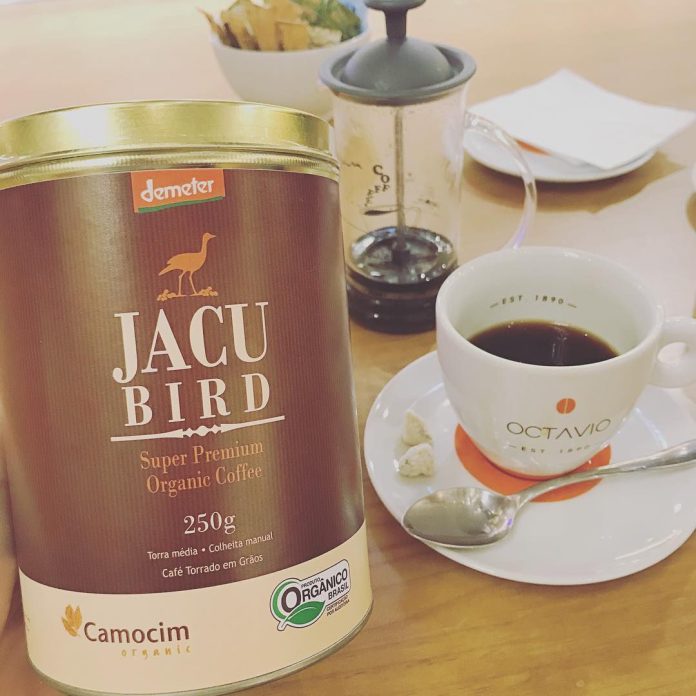 Kopi Termahal Di Dunia Yang Terbuat Dari Kotoran Burung Jacu
