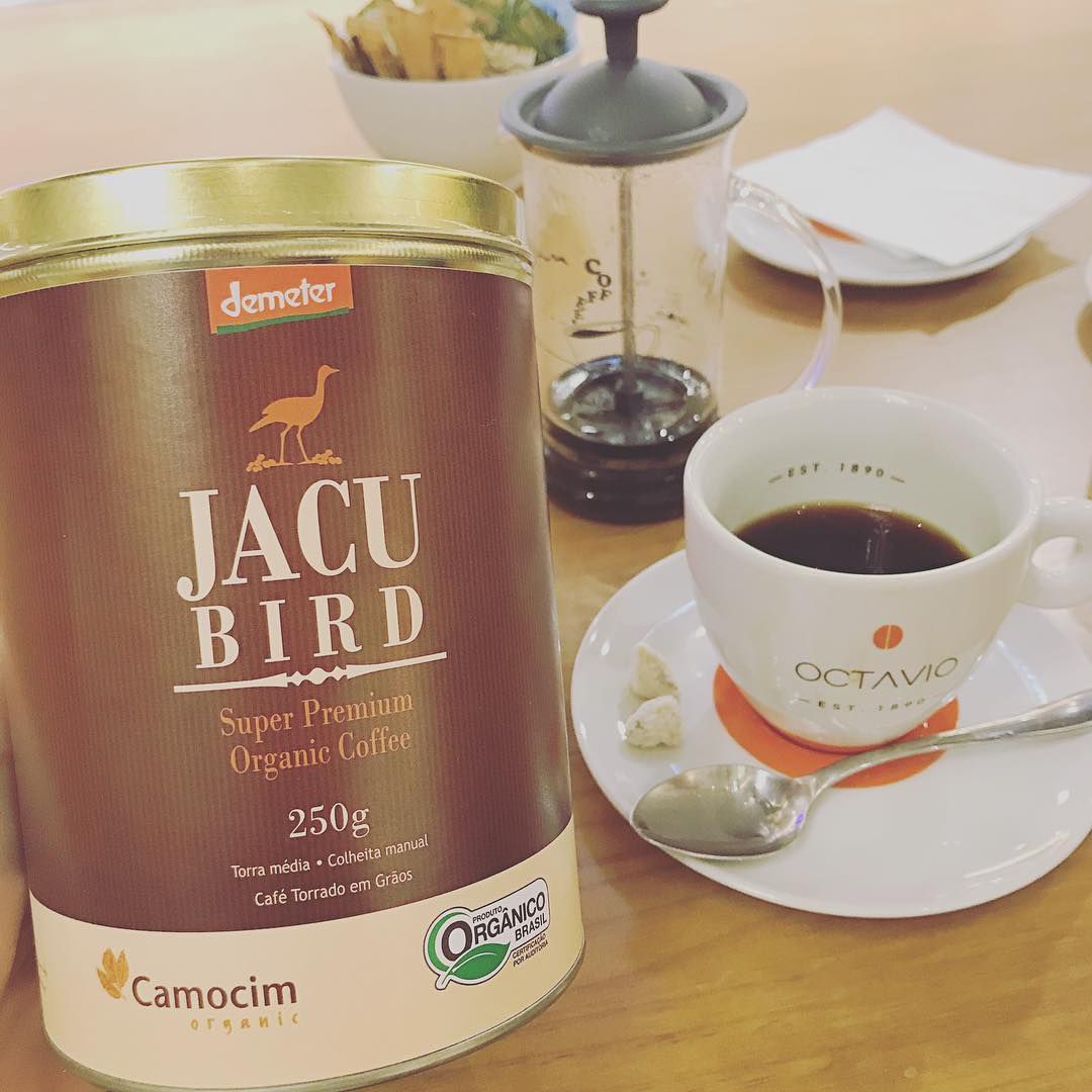 Kopi Termahal Di Dunia Yang Terbuat Dari Kotoran Burung Jacu