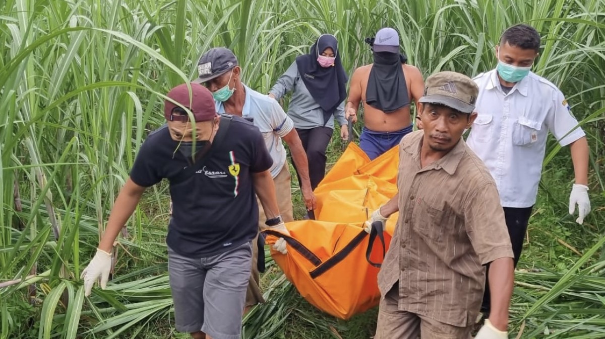 Jenazah Seorang Perempuan Dan Bayinya Yang Ditinggal Sendirian Oleh Suaminya Di Ladang Tebu Di Kediri