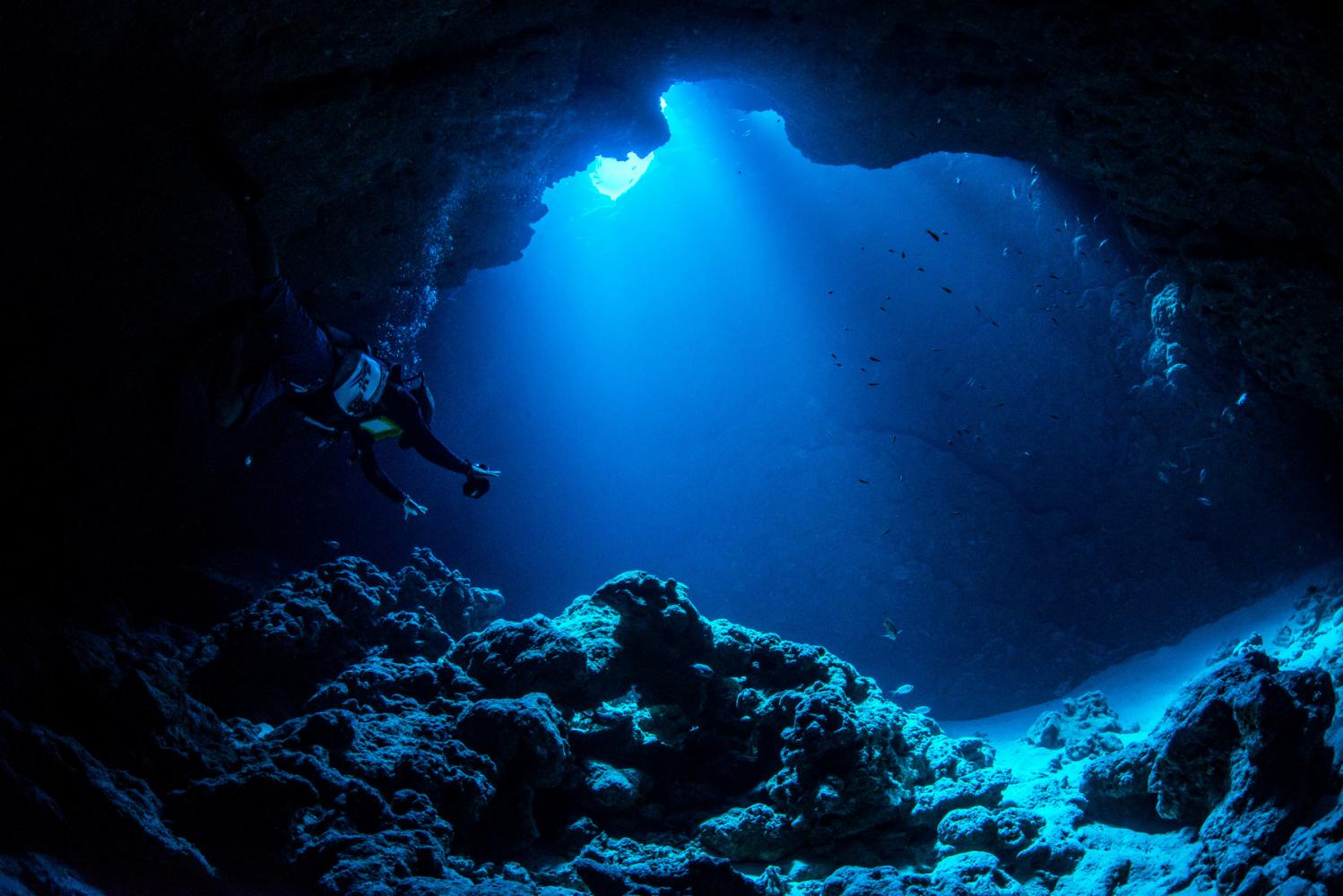 Misteri Laut Dalam: Kehidupan di Zona Abisal