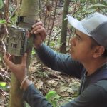 Smart Forest City di IKN: Teknologi sebagai Pengawas Hutan
