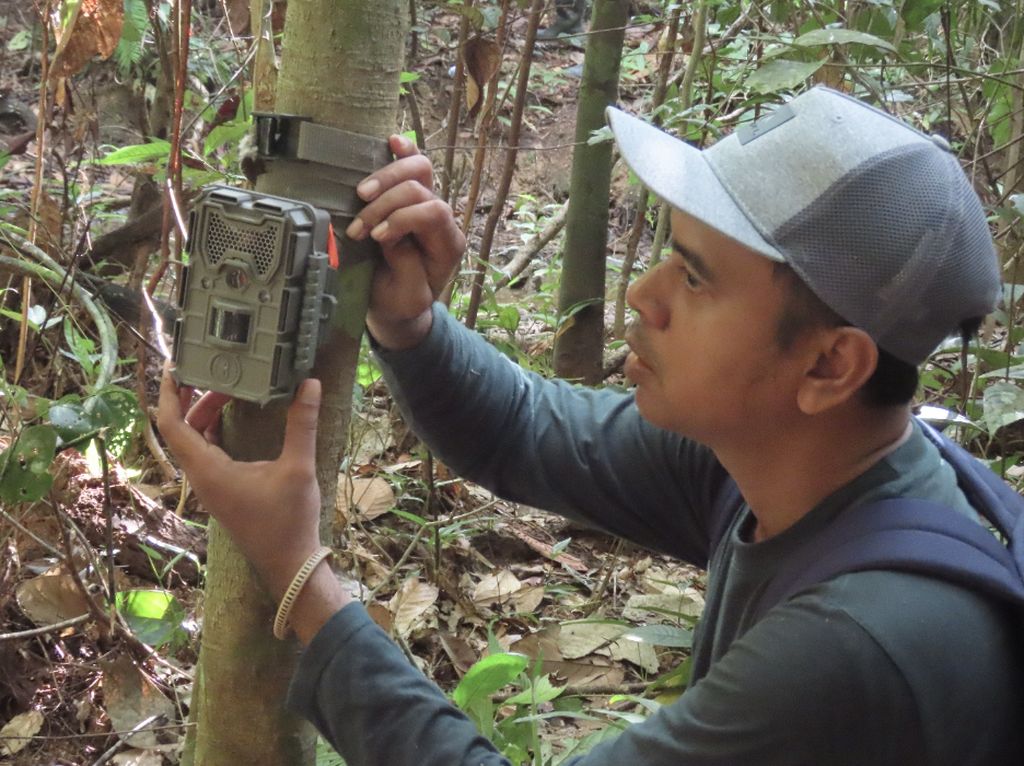 Smart Forest City di IKN: Teknologi sebagai Pengawas Hutan