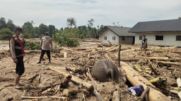 Bencana Banjir dan Longsor di Sumatra 2025 Kisah Korban, Upaya Penanggulangan, dan Tantangan Pemulihan